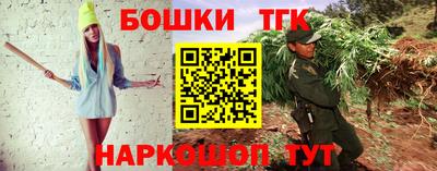 гашик Тара