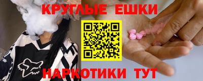 гашик Тара