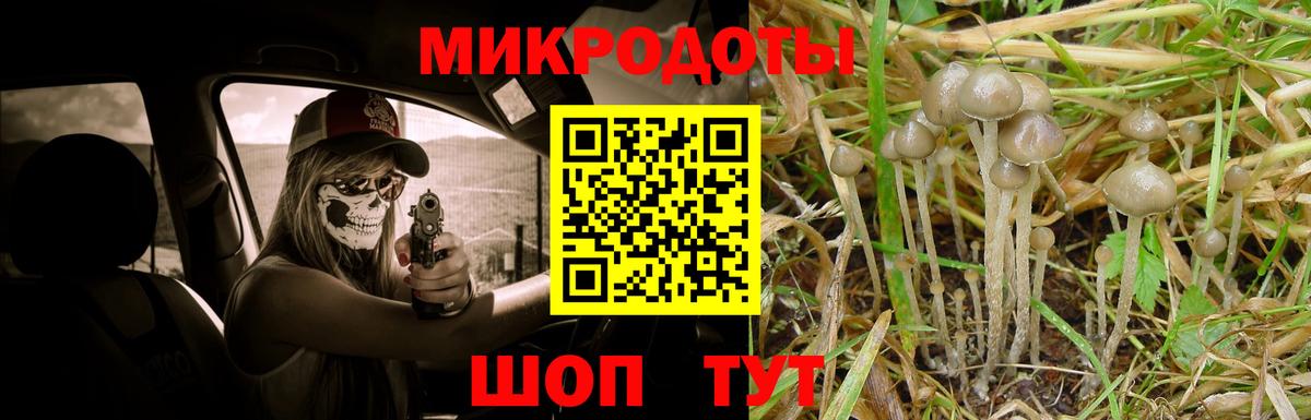 Псилоцибиновые грибы Psilocybe  Вход с VPN  Анапа  купить наркотики сайты  Псилоцибиновые грибы ЛСД 